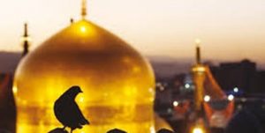 خوش خبری از جوار امام هشتم(ع) برای مادر شهید چشم‌انتظار