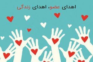 اهدای عضو به ۴ بیمار زندگی دوباره بخشید