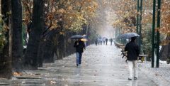 کاهش ۱۶.۵ میلیمتری بارندگی در استان خراسان رضوی