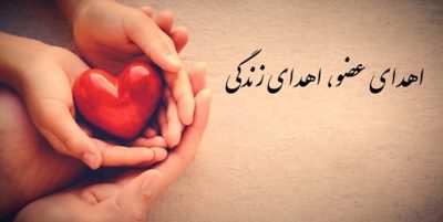 پرستار مشهدی زندگی بخش ۵ بیمار نیازمند به عضو شد